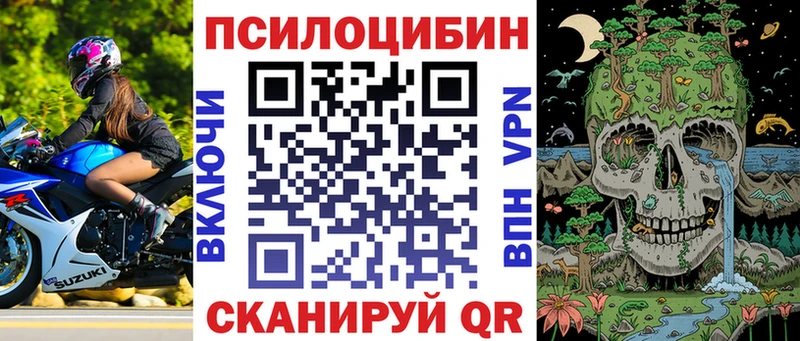 Псилоцибиновые грибы Cubensis Гуково